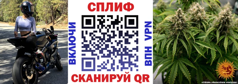 Каннабис OG Kush  Купить где  Торжок 